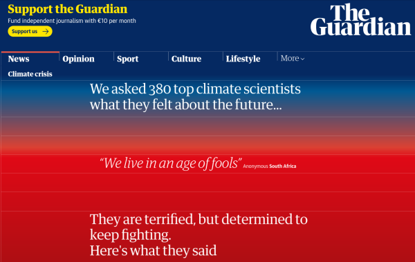 screenshot from Guardian website