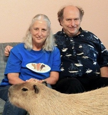 Cropped photo from previous quoted post by @capibarabot@lile.cl of a capybara standing in profile in front of a seated couple who present as male and female. The male has his arm around the smiling female, as if they are together. His facial expression is an odd smile, almost goofy. But maybe a little menacing. The capybara is of course quite chill about it. Photographer unknown. 