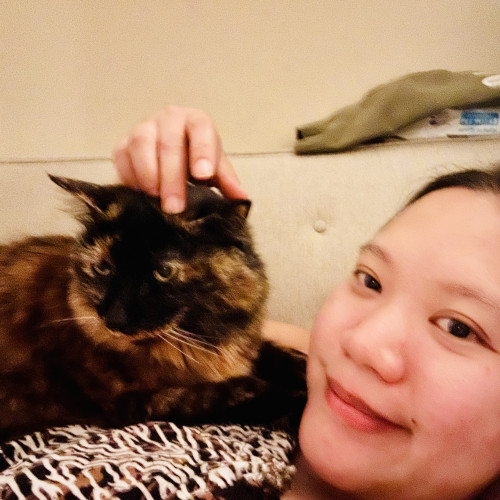 A photo of a person lying down with a large tortie sitting on her 