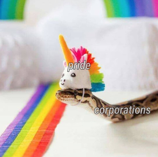 A snake with a unicorn hat labeled "pride", while the snake's body is labeled "corporations". The background features rainbow colors.
