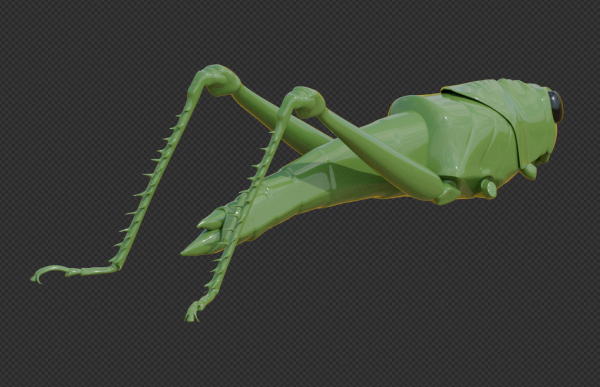 3d model of a grasshopper without its wings or front legs, now with spikes and feet on its back legs.