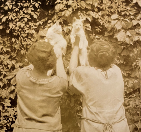 Sepia toned black and white photo of two white women with their backs to the camera holding kittens up in the air against a bush, making it appear as if the just plucked them from it.