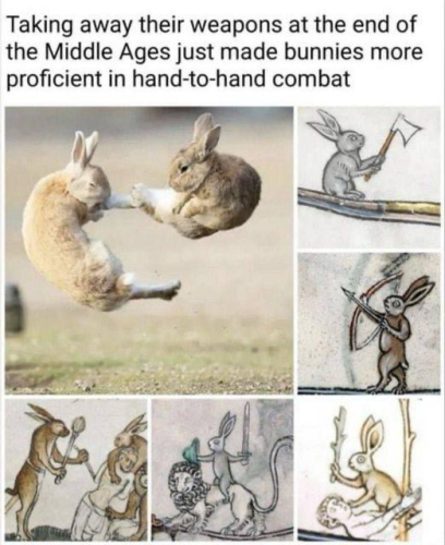 Taking away their weapons at the end of the Middle Ages just made bunnies more proficient in hand-to-hand combat