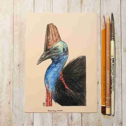 Original drawing - Cassowary Bird
A portrait of a Cassowary bird. The drawing was made with colour pencil and mixed media on warm toned beige paper. 
Materials: colour pencil, mixed media, acid free beige artist paper
Width: 5 inches
Height: 7 inches