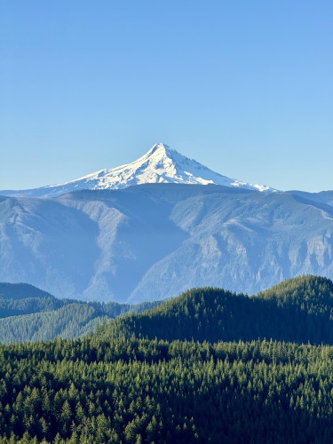 Mount Hood rises above the Cascades mountain range. The peak is covered in white snow. Lush green forests are in the foreground. Light blue sky above. Taken June 7, 2024.