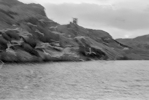 A slightly blurred image of St Margaret's Loch in Holyrood Park, and the hills and ruined chapel behind it, with very blurred images of gulls flying past. Black and white photo.