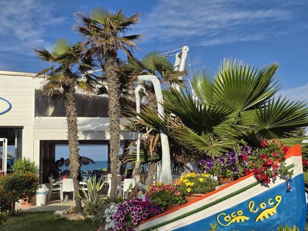 A vibrant seaside scene at a tropical style cafe. The foreground features a brightly painted boat filled with colorful flowers, with the name "Coco Loco" prominently displayed. Tall palm trees frame the background, providing shade to the open-air dining area where patrons can be seen enjoying their meals. The azure waters and clear blue sky complete the picturesque, sun-drenched setting.