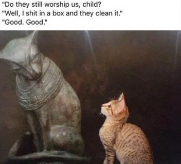 Meme showing a small orange kitten looking up at an ancient Egyptian statue of a cat so that it appears they're conversing
Text reads:
"Do they still worship us, child?"
"Well, I shit in a box and they clean it."
"Good. Good."