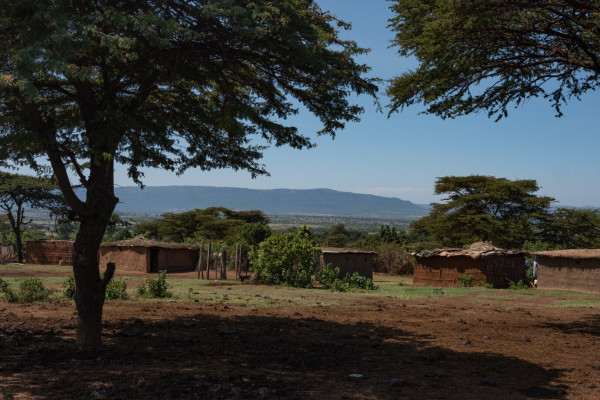 Rural landscape with traditional mud huts, acacia trees, and distant hills under a clear blue sky.