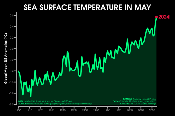 Green line graph time series of average sea surface temperature anomalies for each May from 1900 through 2024. There is large interannual variability, but an overall long-term increasing trend. Anomalies are computed relative to a 1981-2010 baseline.