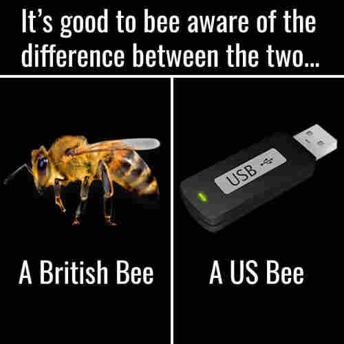 Picture an infographic , white text on a black background.

The frame is split in a T shape, across the top a caption says “It’s good to bee aware of the difference between the two ….

On the left hand side is a picture of a bee , captioned “A British Bee” 

On the right is a picture of a USB stick captioned “A US Bee”