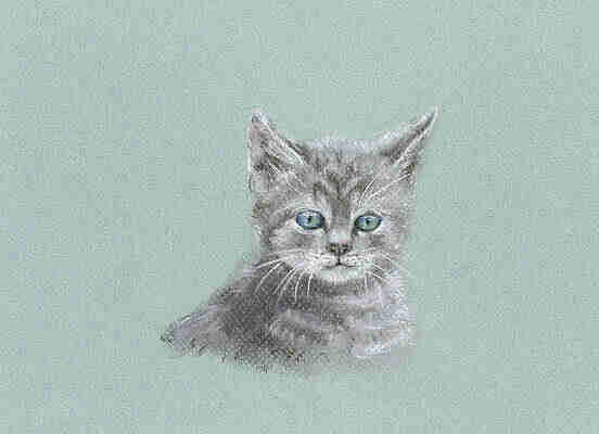 Rather minimalistic painting of a grey kitten with blue eyes to a grey background with a hint of green in it. 