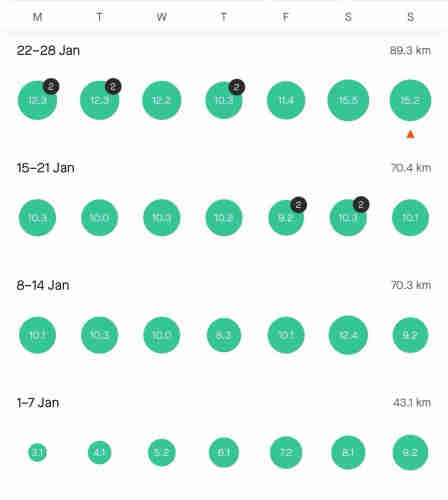 A calendar view of the first four weeks of January 2024. Each day has a green circle with the distance ran for each day, showing I have run every day so far.

Weekly distance achieved:
Week 1 — 43.1 km
Week 2 —70.3 km
Week 3 — 70.4 km
Week 4 — 89.3 km