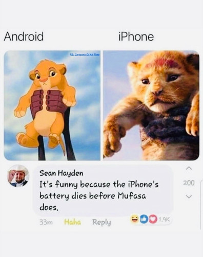 Two images of cartoon lions and something posted by someone.