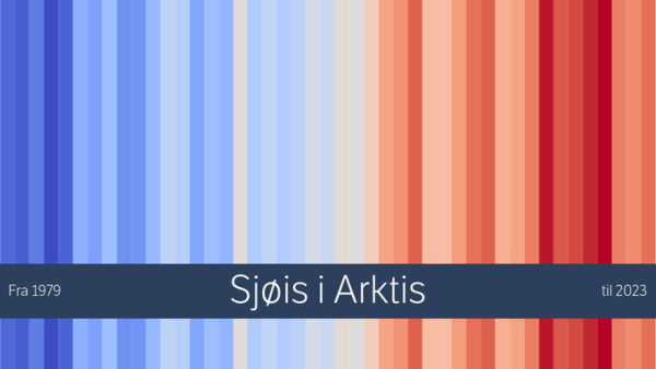 Climate Stripes for Arctic Sea Ice. The colours go from blue (left) to red (right) illustrating the decline of sea ice due to man-made climate change.