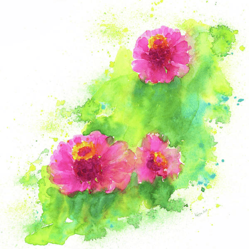 Three pink Zinnias is a watercolour painting in a modern square format painted by artist Karen Kaspar. On a white background float three beautiful zinnia flowers in bright pink and rose, surrounded by fresh green leaves. I have kept this watercolour loose and fresh like a summer garden, with a vivid colour contrast between the pink flowers and the background of green leaves and the diagonal composition within the square format.