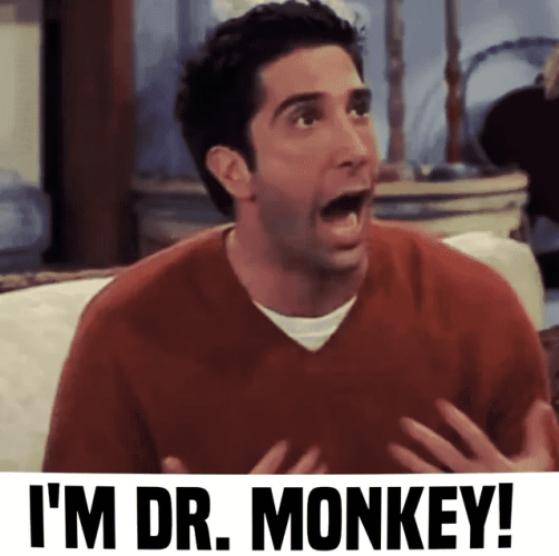 Ross from TV Show Friends screaming angrily "I´m DR MONKEY"