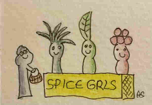 Hand-drawn cartoon of 3 woman with herbal hairdos, the counter says ’Spice Grls' with a admiring person standing in front of the counter, holding a basket, and smiling at them.