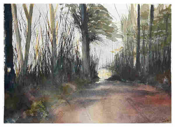 A watercolor painting of a forest path with tall trees and underbrush, with light filtering through the foliage ahead.