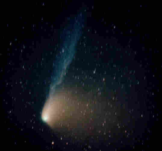 A comet with a lovely blue tail, a white dust tail and a green coma