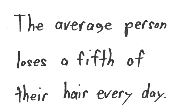 The average person loses a fifth of their hair every day.