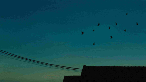 Digital painting of a twilight sky, a gradient from blue to green. There are dark silhouettes of a roof, some cables, and some small birds in flight.