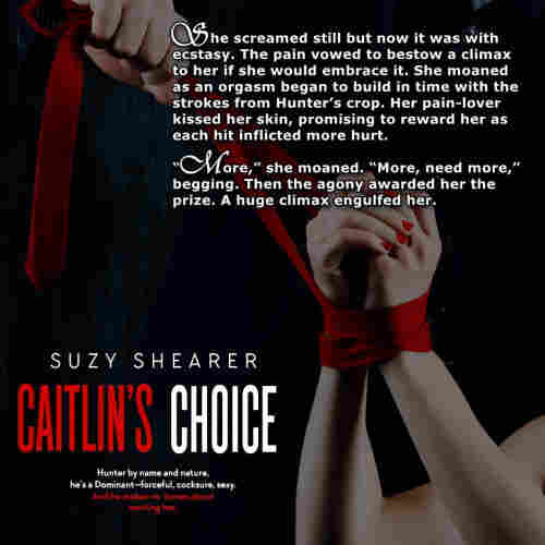 Background book cover - Caitlin's Choice by Suzy Shearer. 
Excerpt written over ... 
'She screamed still but now it was with ecstasy. The pain vowed to bestow a climax to her if she would embrace it. She moaned as an orgasm began to build in time with the strokes from Hunter’s crop. Her pain-lover kissed her skin, promising to reward her as each hit inflicted more hurt.

“More,” she moaned. “More, need more,” begging. Then the agony awarded her the prize. A huge climax engulfed her...'