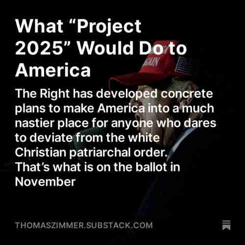 Screenshot of my “Democracy Americana” newsletter - Part 2 (of 3) of a series about “Project 2025”: “What ‘Project 2025’ Would Do to America: The Right has developed concrete plans to make America into a much nastier place for anyone who dares to deviate from the white Christian patriarchal order. That’s what is on the ballot in November”
