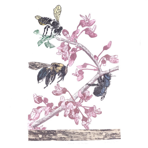 My multimedia Collage with linocut and woodcut showing a flowering redbud branch, block of wood with holes as if made by a carpenter bee, along with a leaf-cutter, mason and carpenter bee.