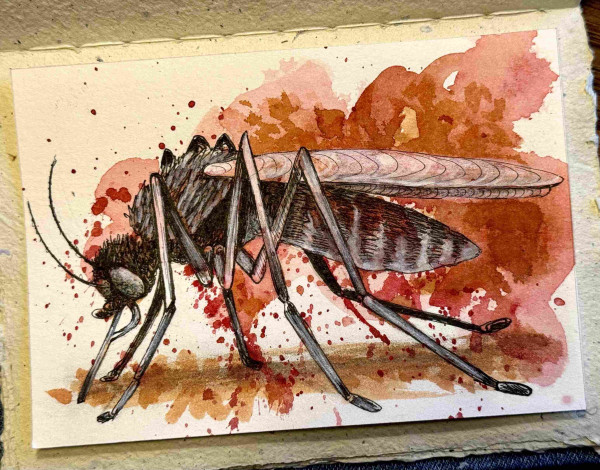 Aquarellmalerei einer Mücke mit rot und braun gesprenkeltem Hintergrund.