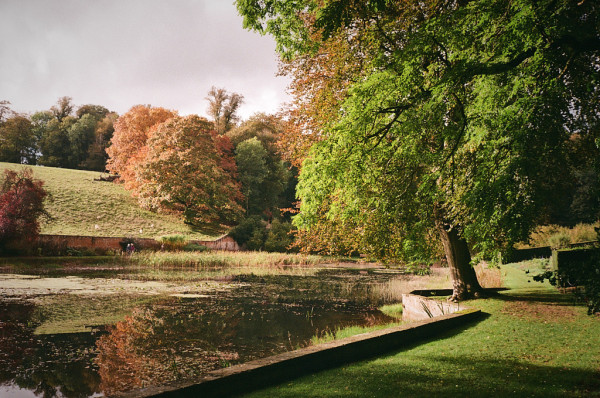 Trees overhang a walled pond; the near trees to the right still have green leaves, while the further trees in the centre have autumnal colours. The pond is dark and weedy. Colour photo.