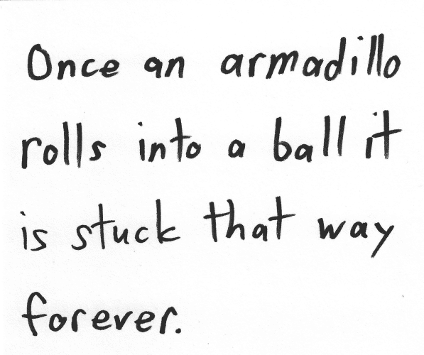 Once an armadillo rolls into a ball it is stuck that way forever.