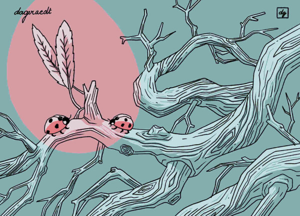 Drawing of two ladybugs are walking on a tree branch, towards each other. In front of them there are two leaves. The other tree branches don’t have leaves. The drawing uses two colors: green/blue and a pink.