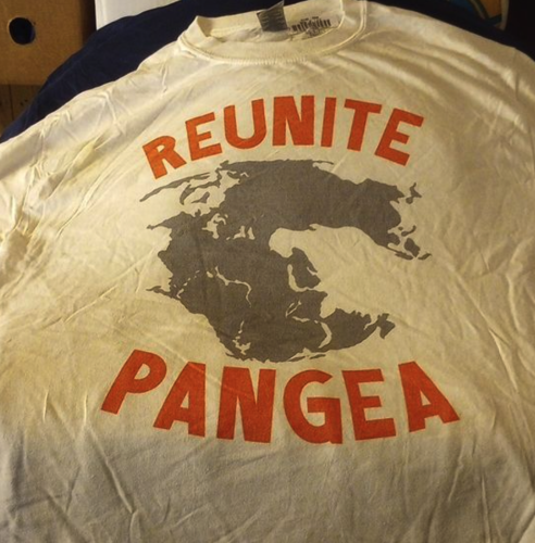 A shirt showing the continents of the globe mashed together. All caps in red:  "Reunite Pangea"

The shirt is well-worn and a little old. 