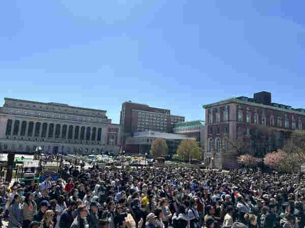 Enormous crowd in the courtyard of Columbia university