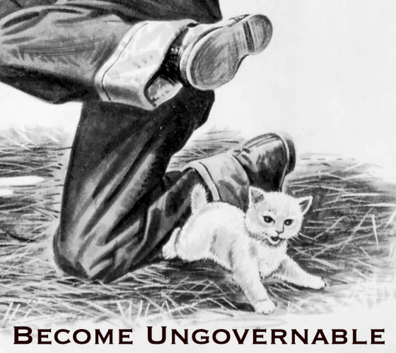 Close crop of the kitten responsible for tripping the man with added text "Become ungovernable"