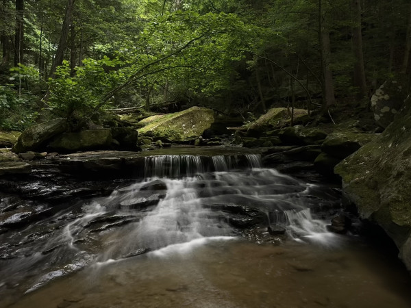 A small and wide waterfall in a shaded hemlock forest. There are large mossy boulders behind and around the waterfall and the water is blurred from long exposure. Everything is verdant from the light filtered through the leaves. 