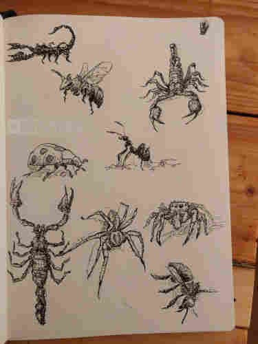 Black ink  on paper.

Order of appearance Left to right, top to bottom: 
A scorpion in sideview.
A bee.
A scorpion in front view.
A lady bug.
An ant.
A scorpion.
Two spiders.
A bee.