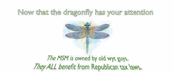 There’s a large dragonfly, dead center in the page. It’s rendered with soft, blue and green, watercolor tones and black ink. The words at the top say “Now that the dragonfly has your attention.” And the words beneath the dragonfly fan out the way the opening credits for Star Wars did, and their text reads The MSM is owned by old wyt guys, they all benefit from Republican tax laws. signed @Pinewoozle