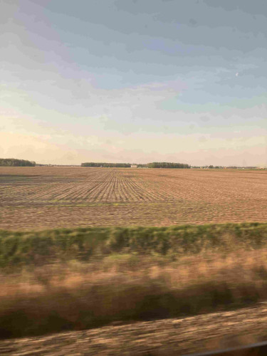 View from train window into a stubble field, then in the distance some woods. Blue sky and a kind of golden light. It’s very very flat.