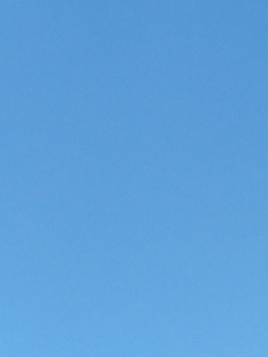 Photo of a blue sky without any clouds or features at all