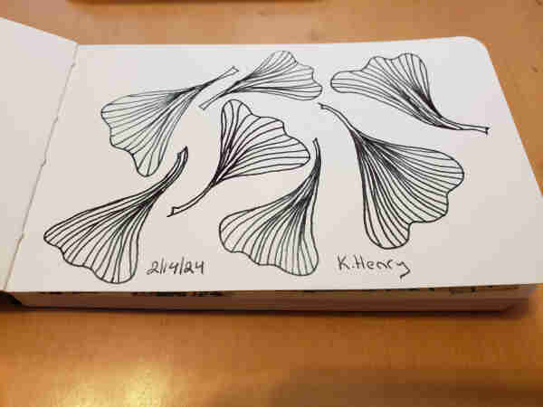 Hand drawn generative art in ink on an open page of my sketchbook. The abstract pattern is inspired by ginkgo leaves.