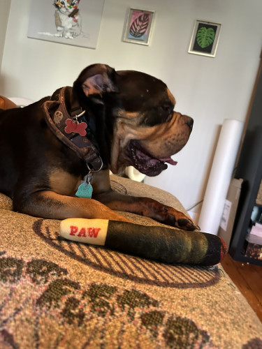 taz next to a plushie joint that says “paw”, looks like a RAW tip