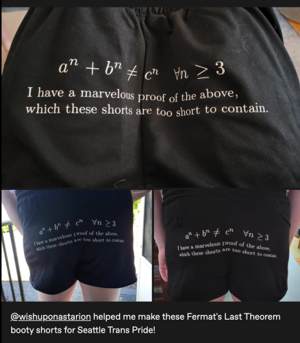 A pair of shorts that says:

"a^n+b^n != c^n for all n >=3
I have a marvelous proof of the above, which these shorts are too short to contain."

caption:
@wishuponastarion helped me make these Fermat's Theorem shorts for Seattle Trans Pride!