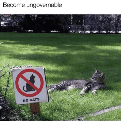 (Cat lying in the grass of a yard with a NO CAT sign)  Become ungovernable