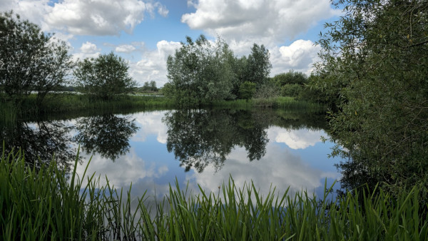 A reflected sky in a pond