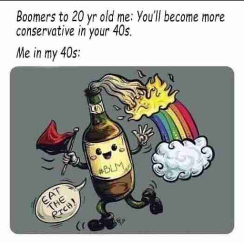 Cartoon caption: 
Boomers to 20 yr old me: You'll become more conservative in your 40s.
Me in my 40s: Picture of a Molotov cocktail holding an anarchy flag saying "eat the rich" with a rainbow smoke cloud