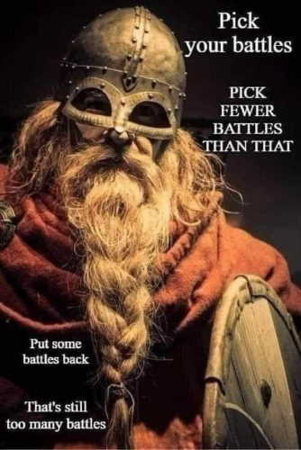 (A Viking)  Pick your battles … PICK FEWER BATTLES THAN THAT … Put some battles back … That's still too many battles