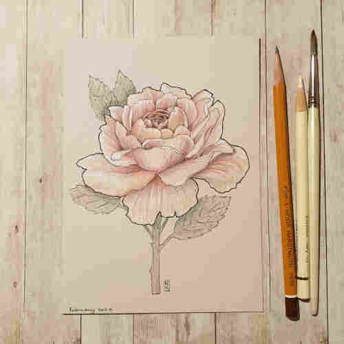 Original drawing - Pink Rose
A drawing of a pale pink rose. The drawing was created using colour pencil and mixed media on artist quality acid free cool beige toned paper.
Materials: colour pencil, mixed media, artist quality acid free beige paper
Width: 5 inches
Height: 7 inches