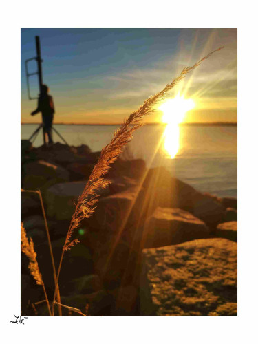 Foto von einem Halm Schilfgras, im Fokus. Der Sonnenuntergang, eine menschliche Silhouette die auf einem mit großen Steinen aufgeschüttetem Wellenbrecher  steht sind unscharf im Hintergrund. Die ganze Stimmung im Bild ist sommerlich warm. 